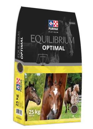 Purina Canada Equilibrium Optimal