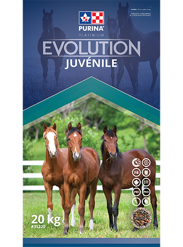 Purina Canada Évolution Juvénile