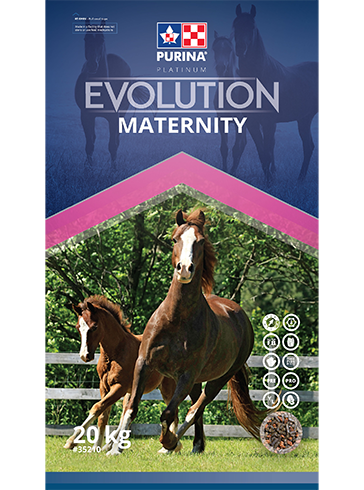 Purina Canada Evolution Maternity