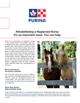 Rehabilitating a Neglected Horse